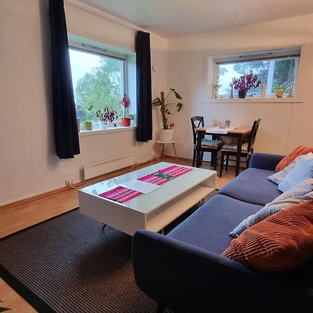 Cosy Tromso Apartment Buitenkant foto