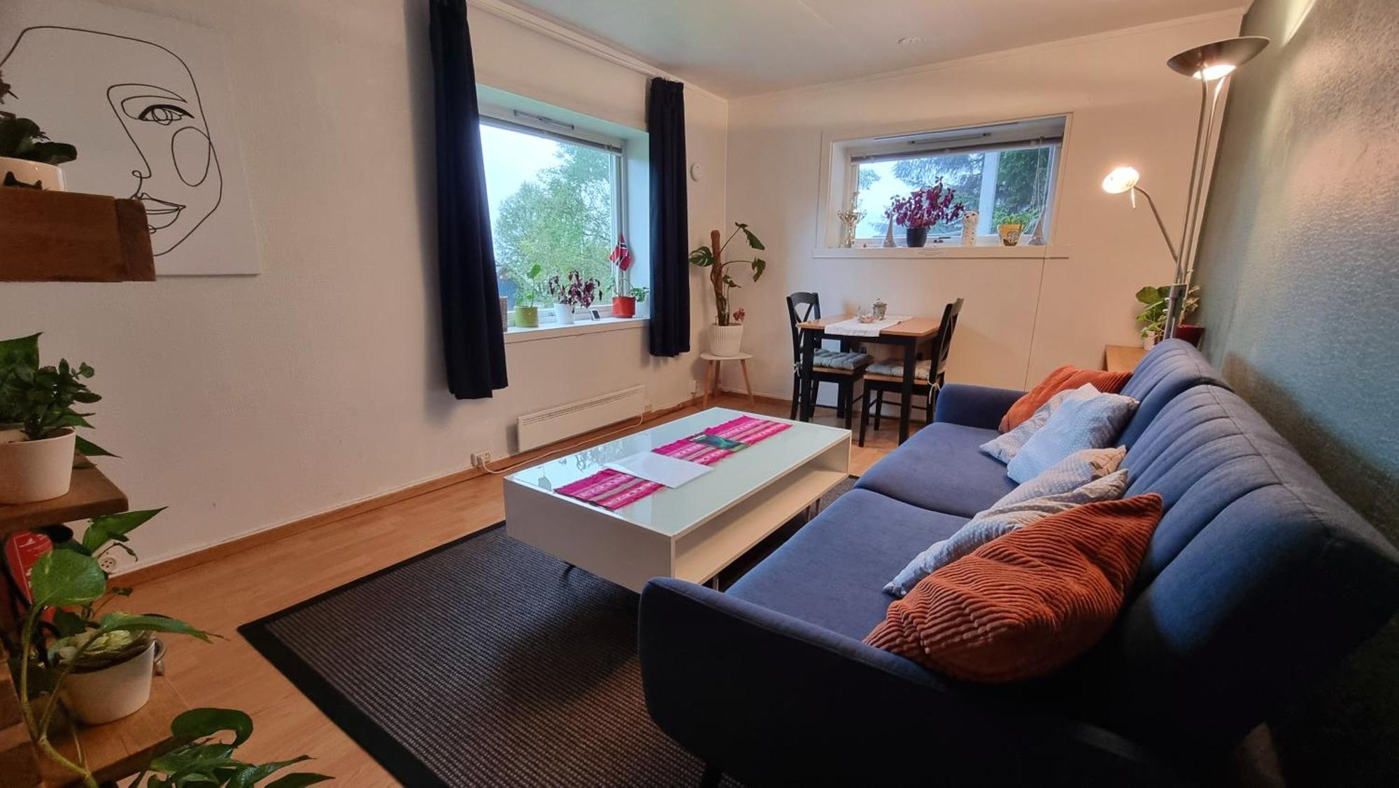 Cosy Tromso Apartment Buitenkant foto